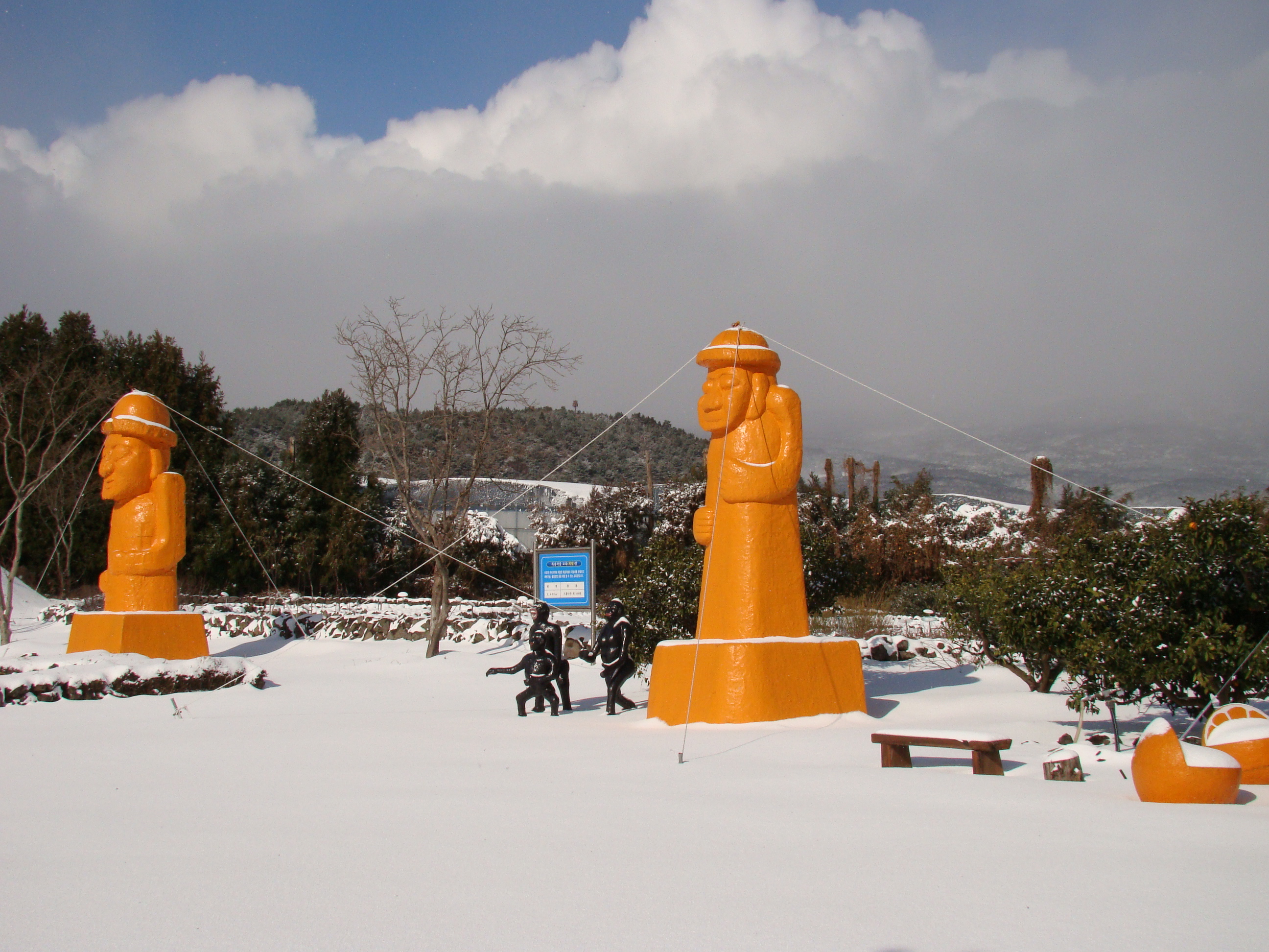 서귀포농업기술센터 겨울사진입니다. 서귀포에도 이렇게 눈이 내리네요!!!